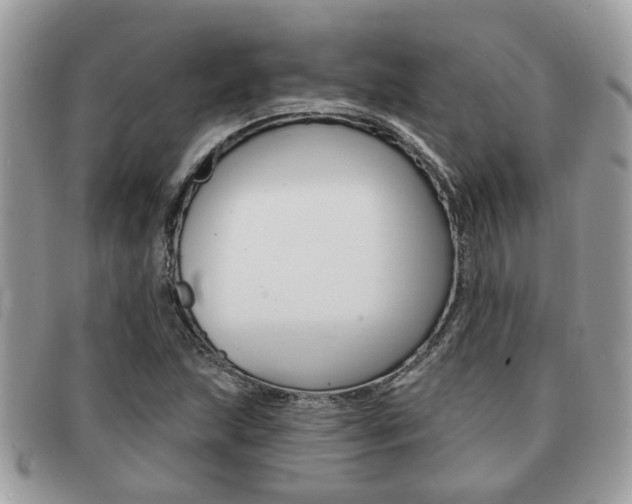 X0000091591215200708200944