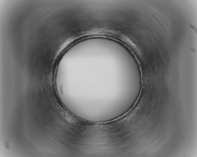 X0000091591216200708200944