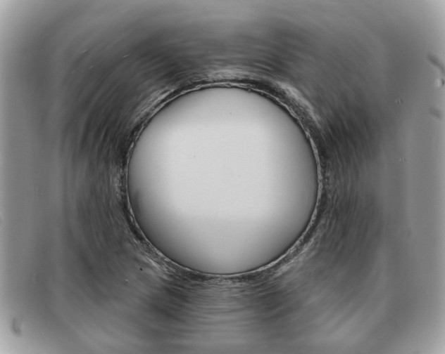 X0000091591217200708200944
