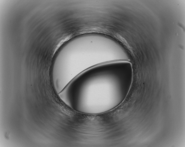 X0000091591218200708200944