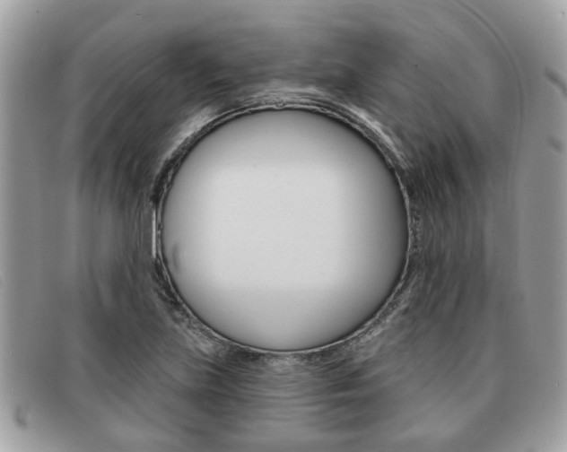 X0000091591219200708200944