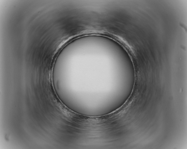 X0000091591220200708200944