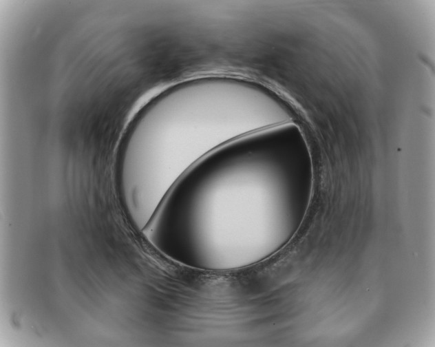 X0000091591222200708200944