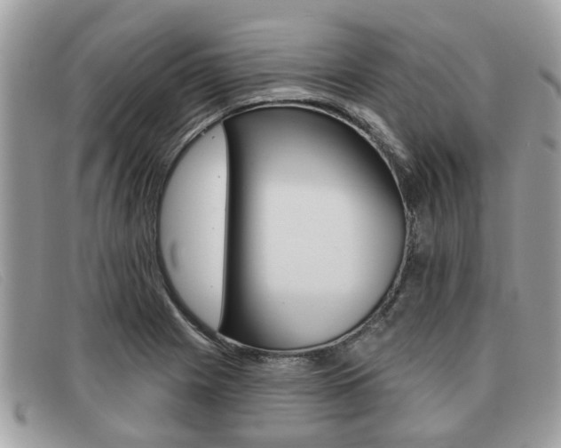 X0000091591225200708200944