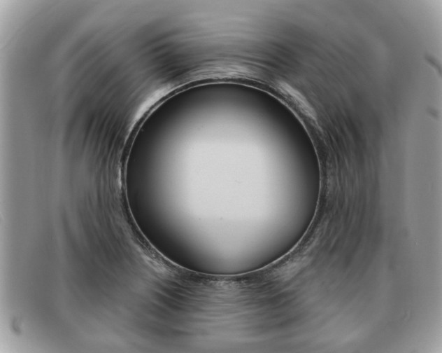 X0000091591226200708200944