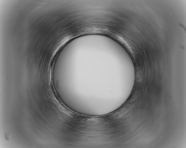 X0000091591227200708200944