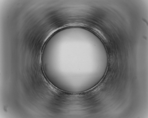 X0000091591228200708200944