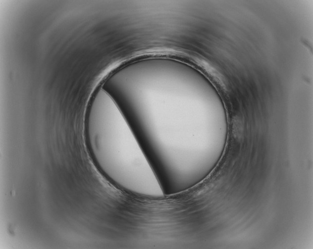 X0000091591229200708200944