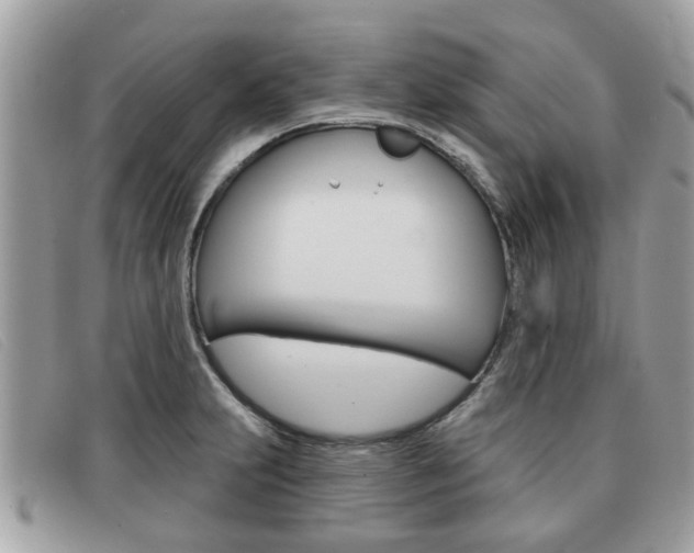 X0000091591231200708200944