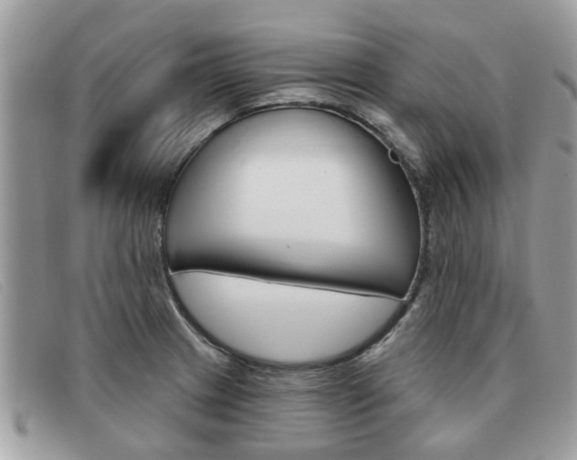 X0000091591233200708200944