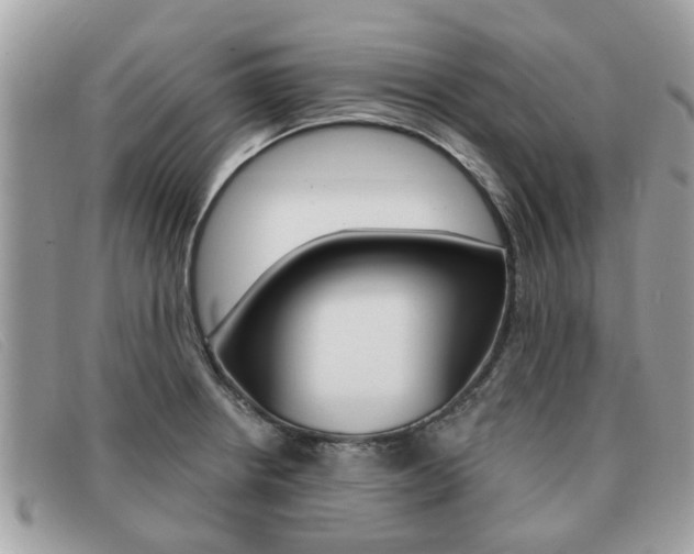 X0000091591234200708200944