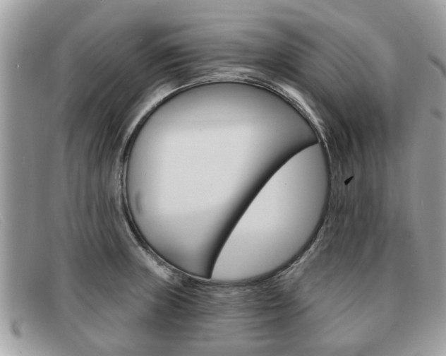 X0000091591235200708200944