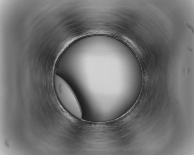 X0000091591236200708200944