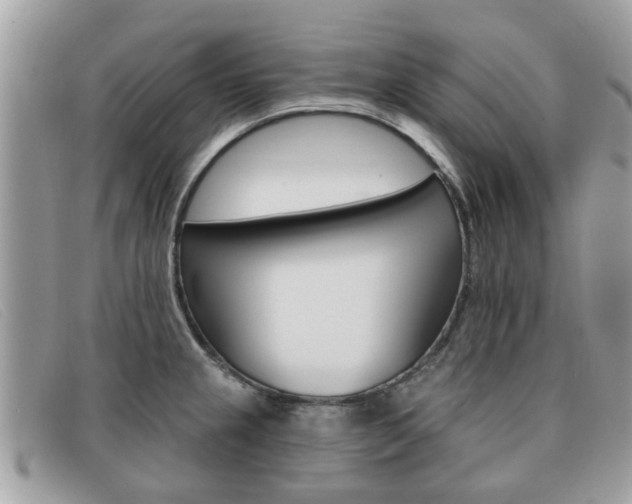 X0000091591237200708200944