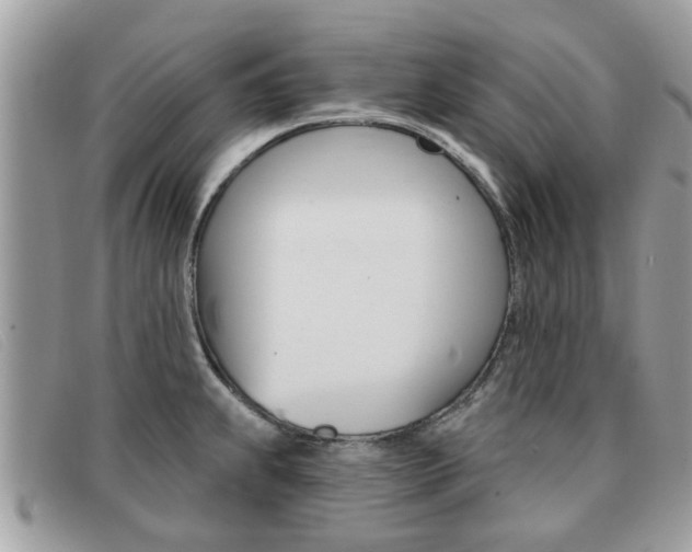 X0000091591239200708200944
