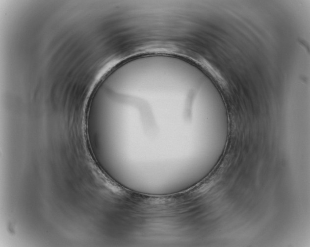 X0000091591240200708200944