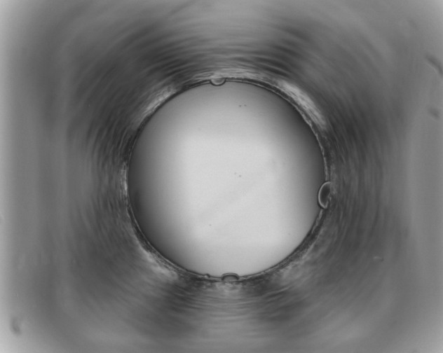 X0000091591241200708200944