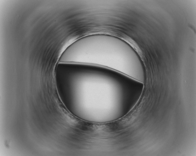 X0000091591242200708200944