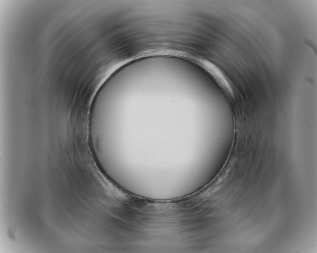 X0000091591244200708200944