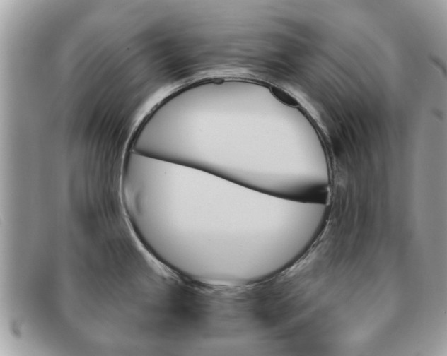 X0000091591245200708200944