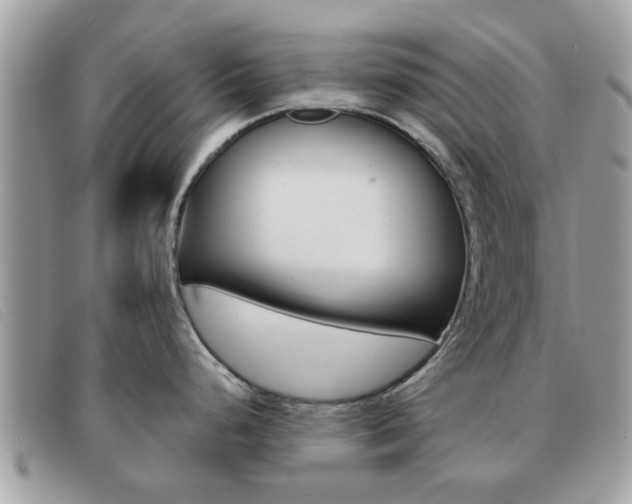 X0000091591248200708200944