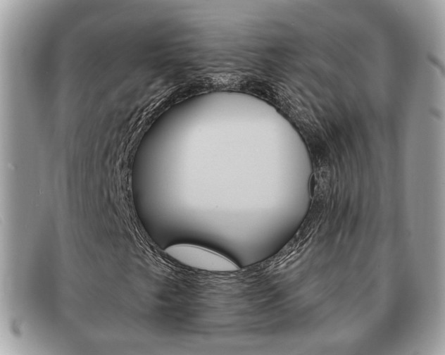 X0000091591249200708200944