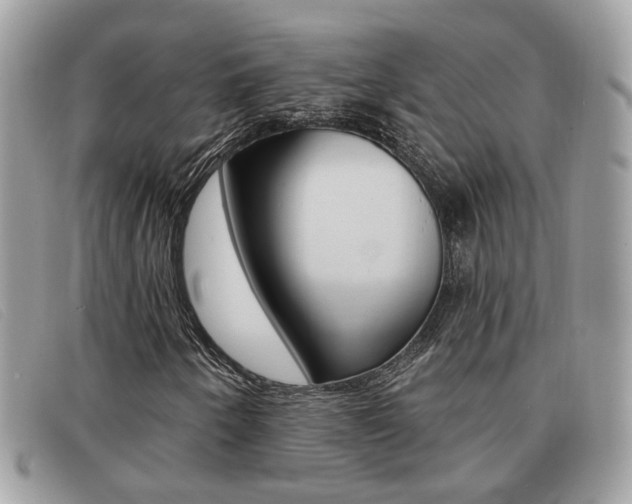 X0000091591250200708200944