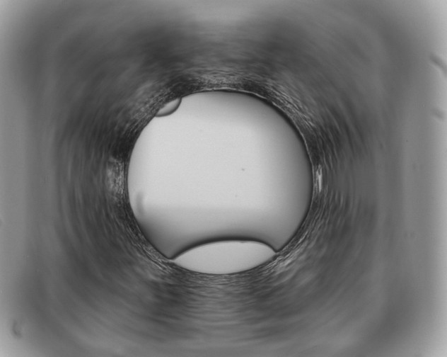 X0000091591251200708200944