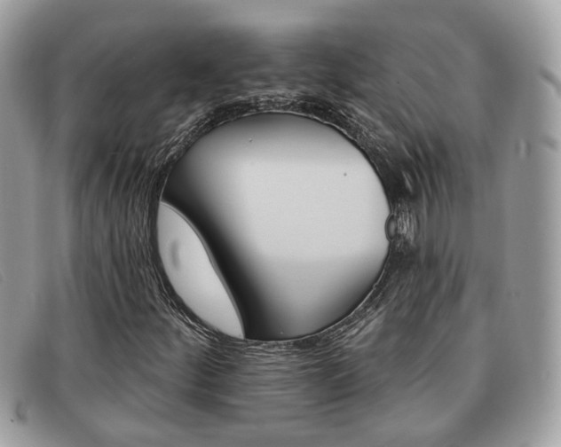 X0000091591252200708200944