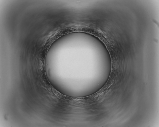 X0000091591253200708200944