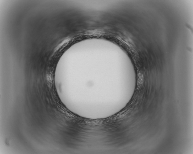 X0000091591254200708200944