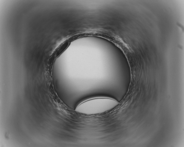 X0000091591256200708200944