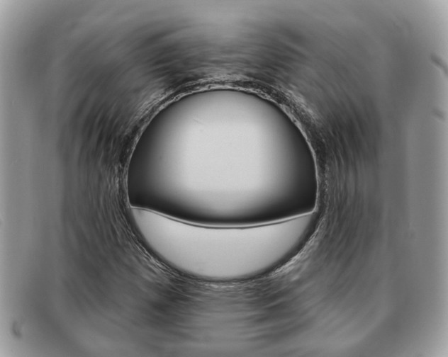 X0000091591257200708200944