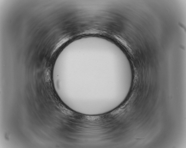 X0000091591258200708200944