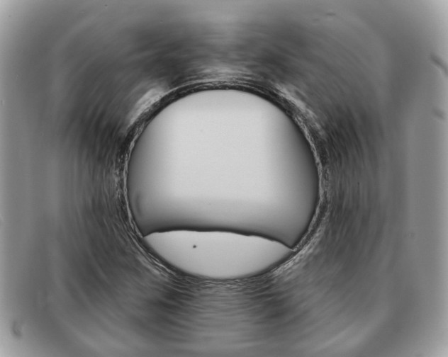 X0000091591259200708200944