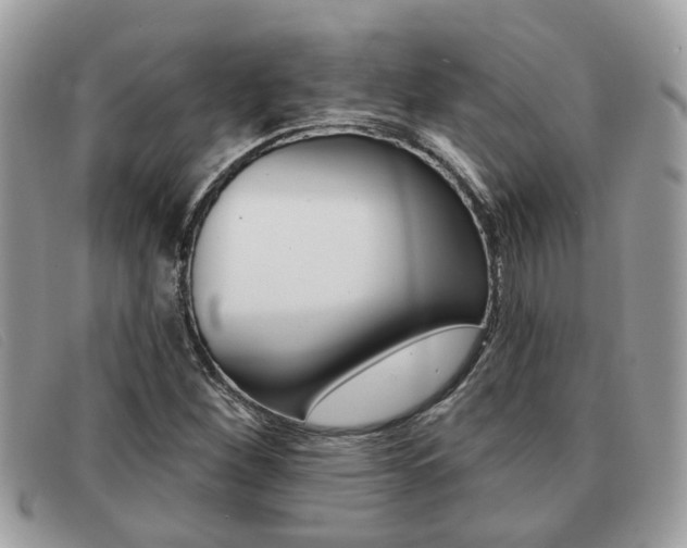 X0000091591260200708200944