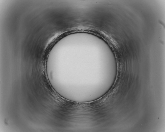 X0000091591262200708200944