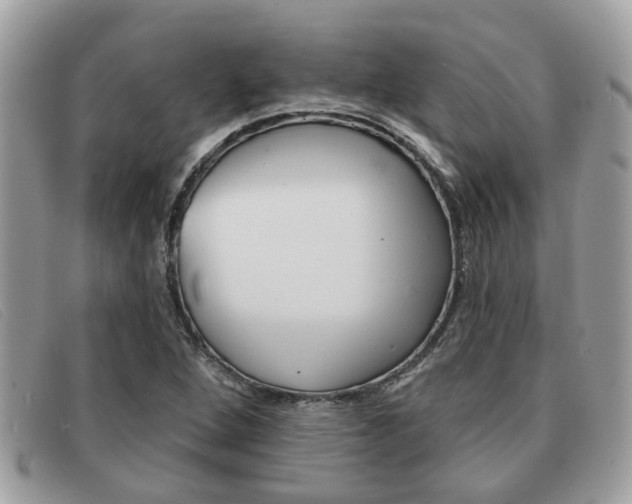 X0000091591264200708200944