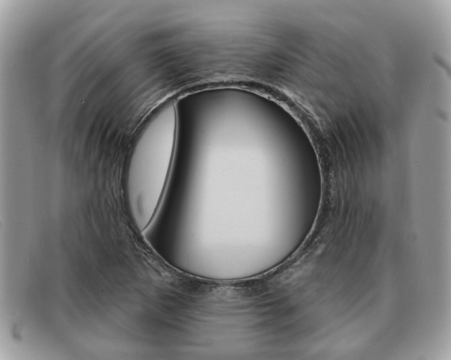 X0000091591265200708200944