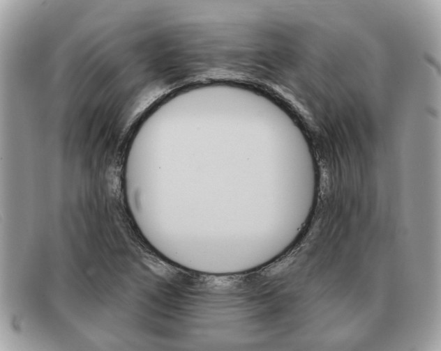 X0000091591266200708200944