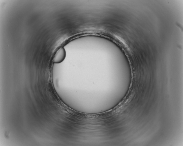 X0000091591267200708200944