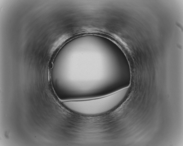 X0000091591269200708200944