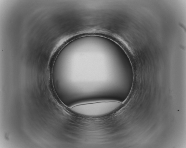 X0000091591270200708200944