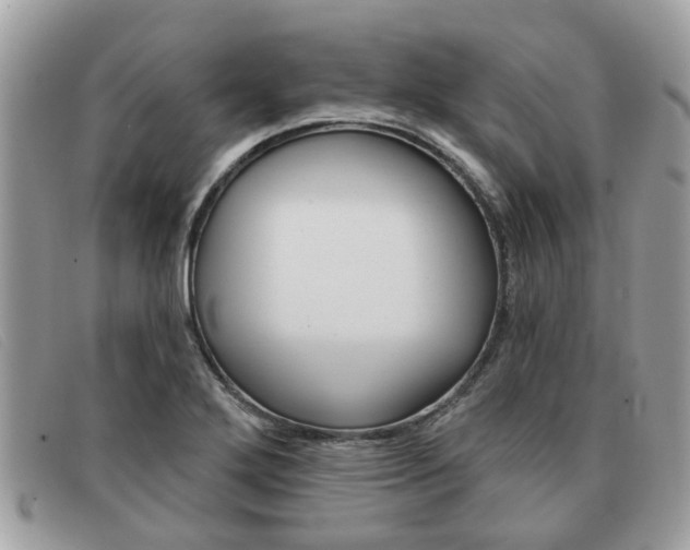 X0000091591272200708200944