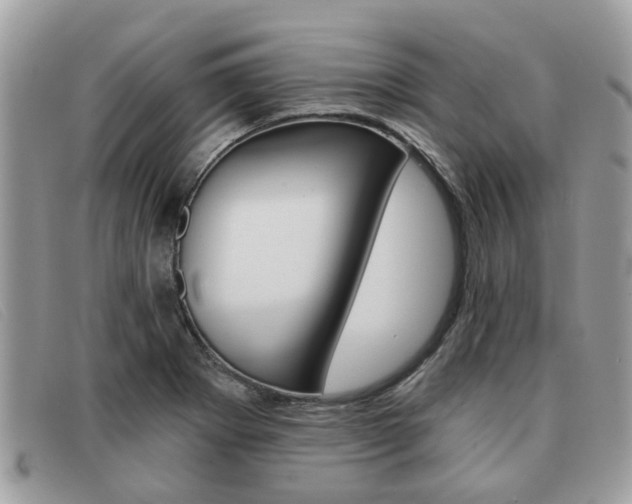 X0000091591273200708200943