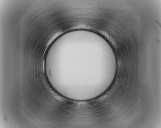 X0000091591274200708200943