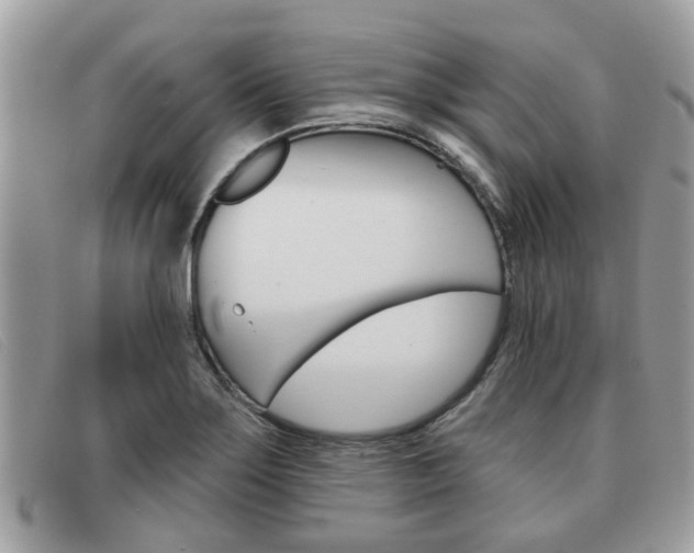 X0000091591275200708200943