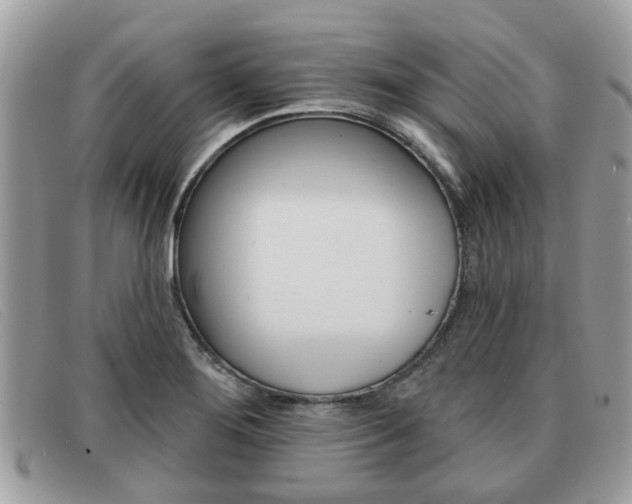 X0000091591276200708200943