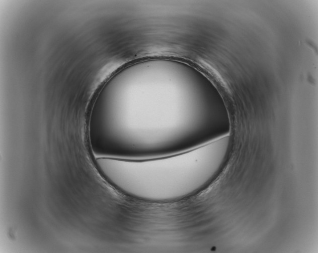 X0000091591277200708200943