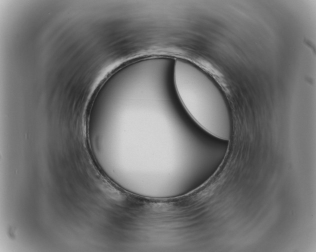 X0000091591280200708200943